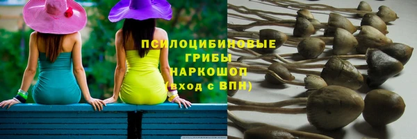 прущие крисы Армянск