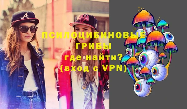 каннабис Аркадак