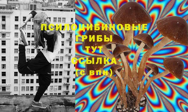 экстази Арсеньев